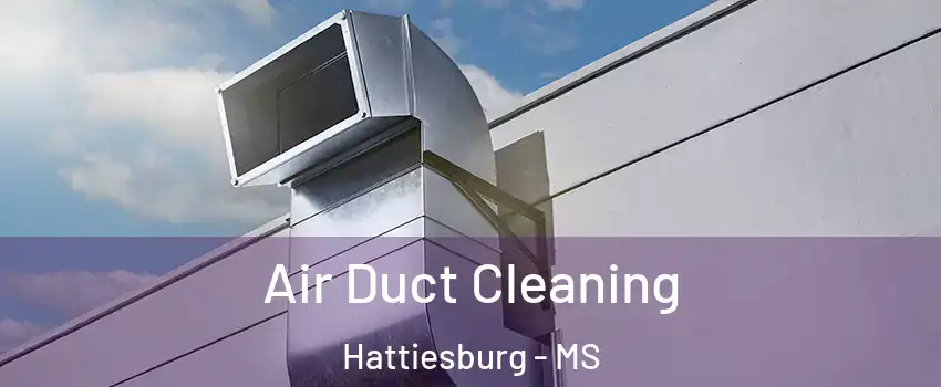  Air Duct Cleaning Hattiesburg - MS