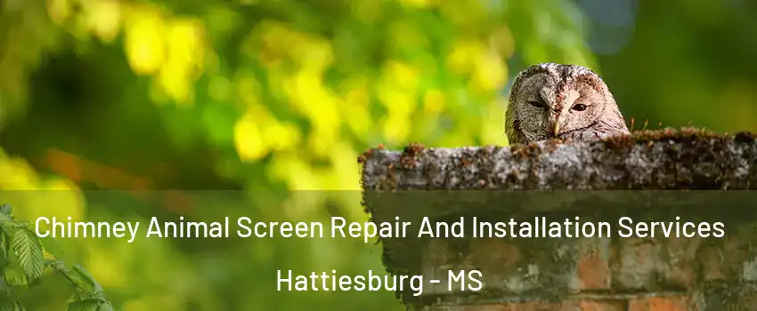  Chimney Animal Screen Repair And Installation Services Hattiesburg - MS