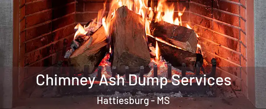  Chimney Ash Dump Services Hattiesburg - MS