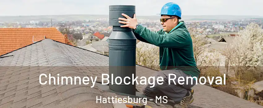  Chimney Blockage Removal Hattiesburg - MS