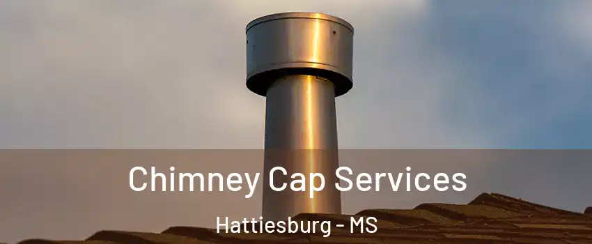  Chimney Cap Services Hattiesburg - MS