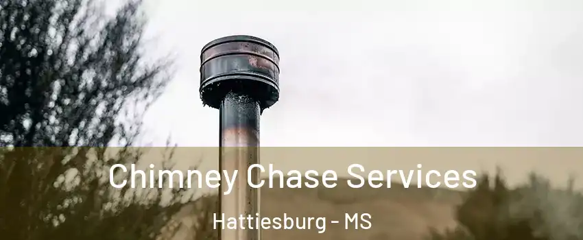  Chimney Chase Services Hattiesburg - MS