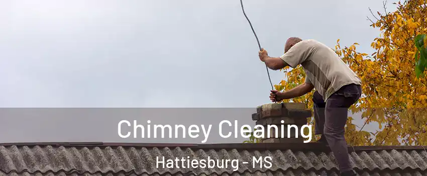  Chimney Cleaning Hattiesburg - MS