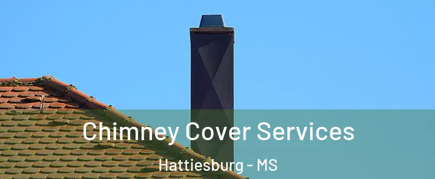  Chimney Cover Services Hattiesburg - MS