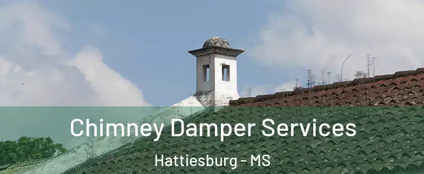  Chimney Damper Services Hattiesburg - MS