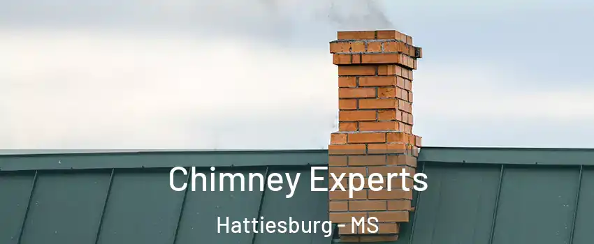 Chimney Experts Hattiesburg - MS