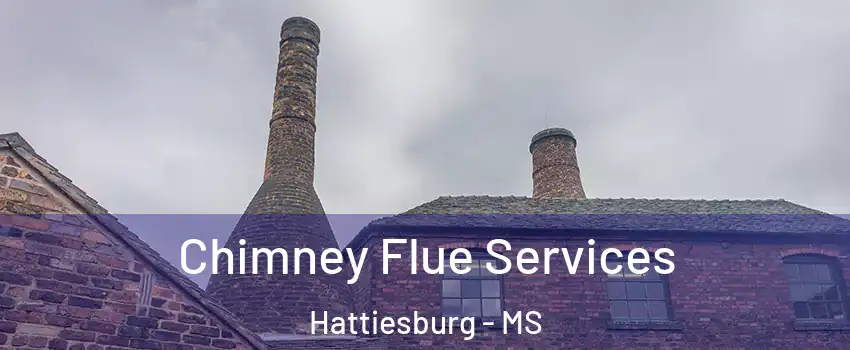  Chimney Flue Services Hattiesburg - MS