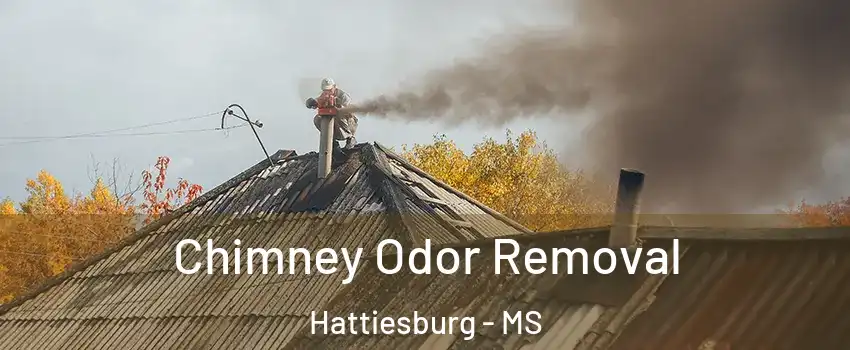  Chimney Odor Removal Hattiesburg - MS