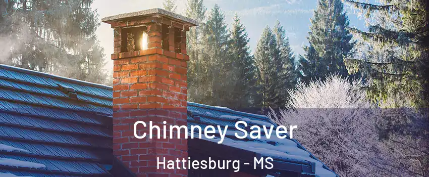  Chimney Saver Hattiesburg - MS