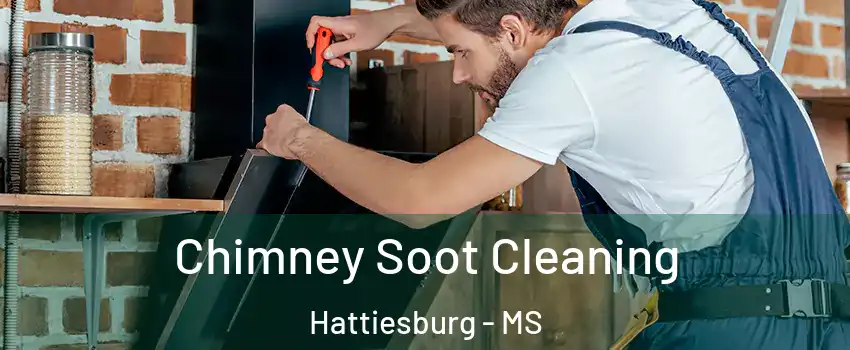  Chimney Soot Cleaning Hattiesburg - MS