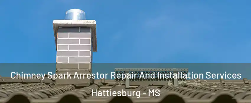  Chimney Spark Arrestor Repair And Installation Services Hattiesburg - MS