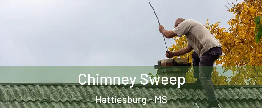  Chimney Sweep Hattiesburg - MS