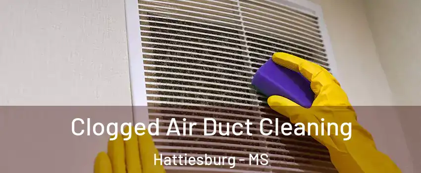  Clogged Air Duct Cleaning Hattiesburg - MS