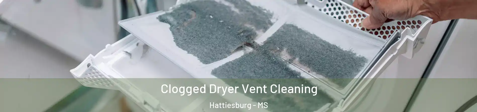  Clogged Dryer Vent Cleaning Hattiesburg - MS