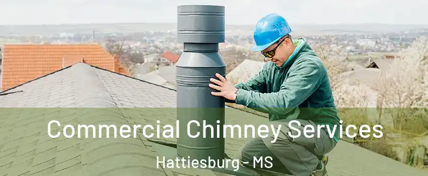  Commercial Chimney Services Hattiesburg - MS