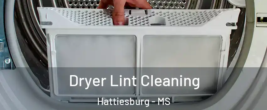  Dryer Lint Cleaning Hattiesburg - MS