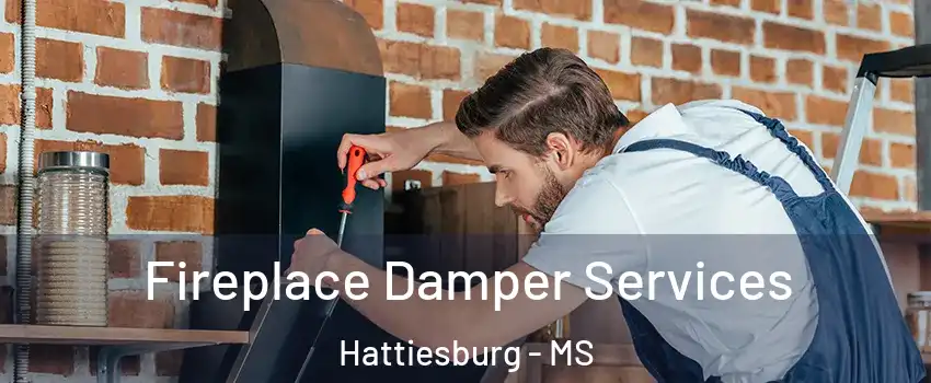  Fireplace Damper Services Hattiesburg - MS