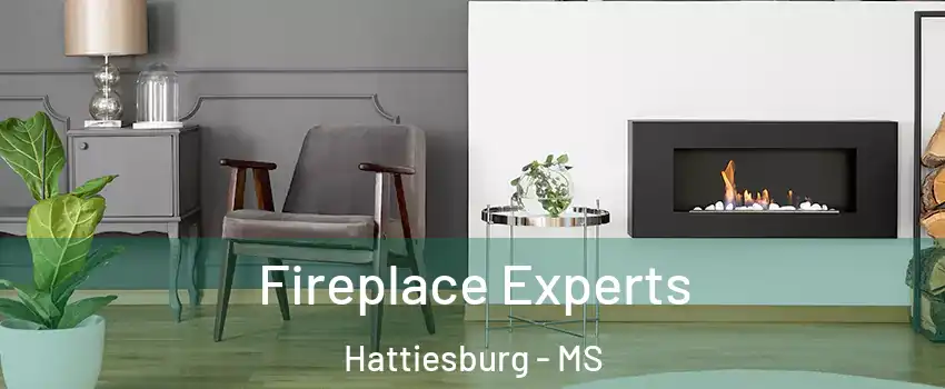  Fireplace Experts Hattiesburg - MS