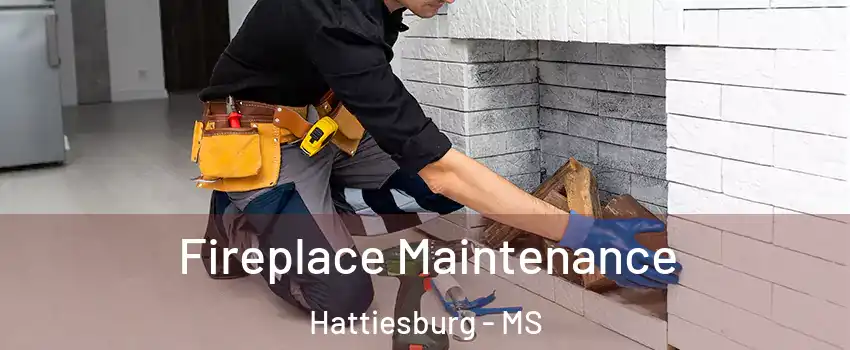  Fireplace Maintenance Hattiesburg - MS