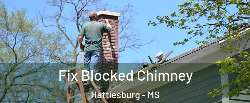  Fix Blocked Chimney Hattiesburg - MS
