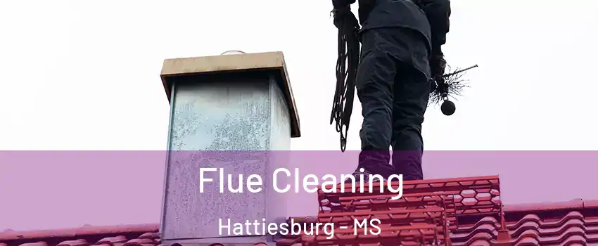  Flue Cleaning Hattiesburg - MS