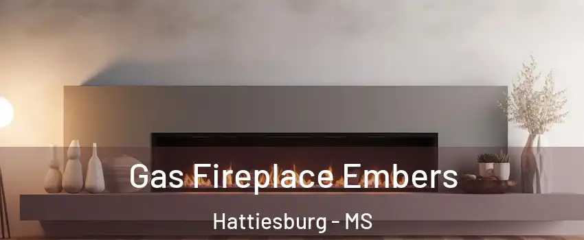  Gas Fireplace Embers Hattiesburg - MS