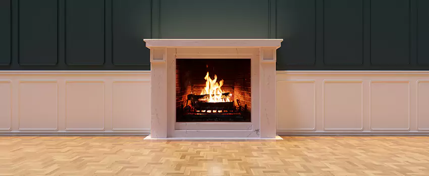 Napoleon Electric Fireplaces Inspection Service in Hattiesburg, Mississippi