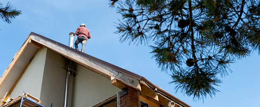 Birds Removal Contractors from Chimney in Hattiesburg, MS