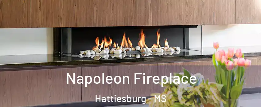  Napoleon Fireplace Hattiesburg - MS