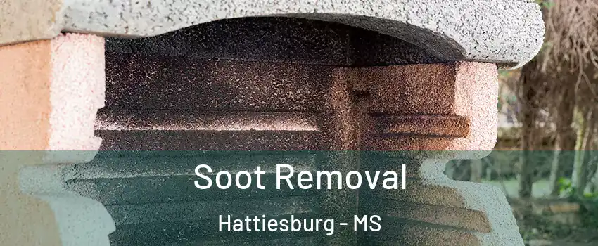  Soot Removal Hattiesburg - MS
