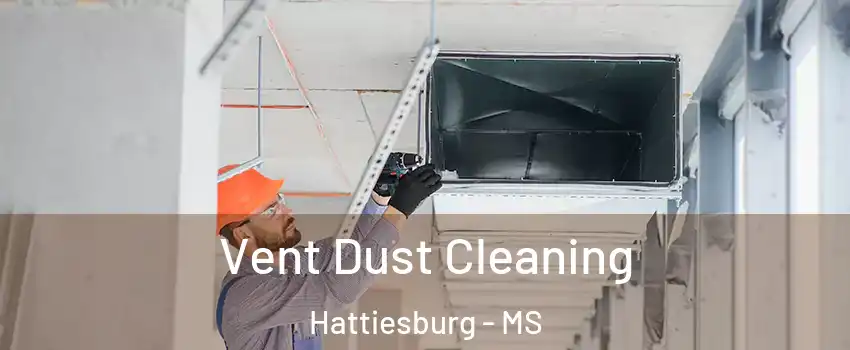 Vent Dust Cleaning Hattiesburg - MS